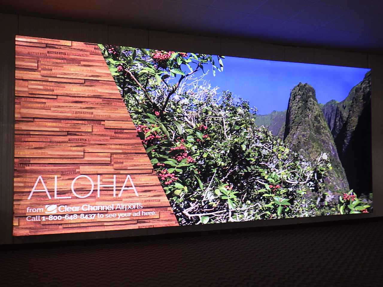 創業30周年ハワイ旅行